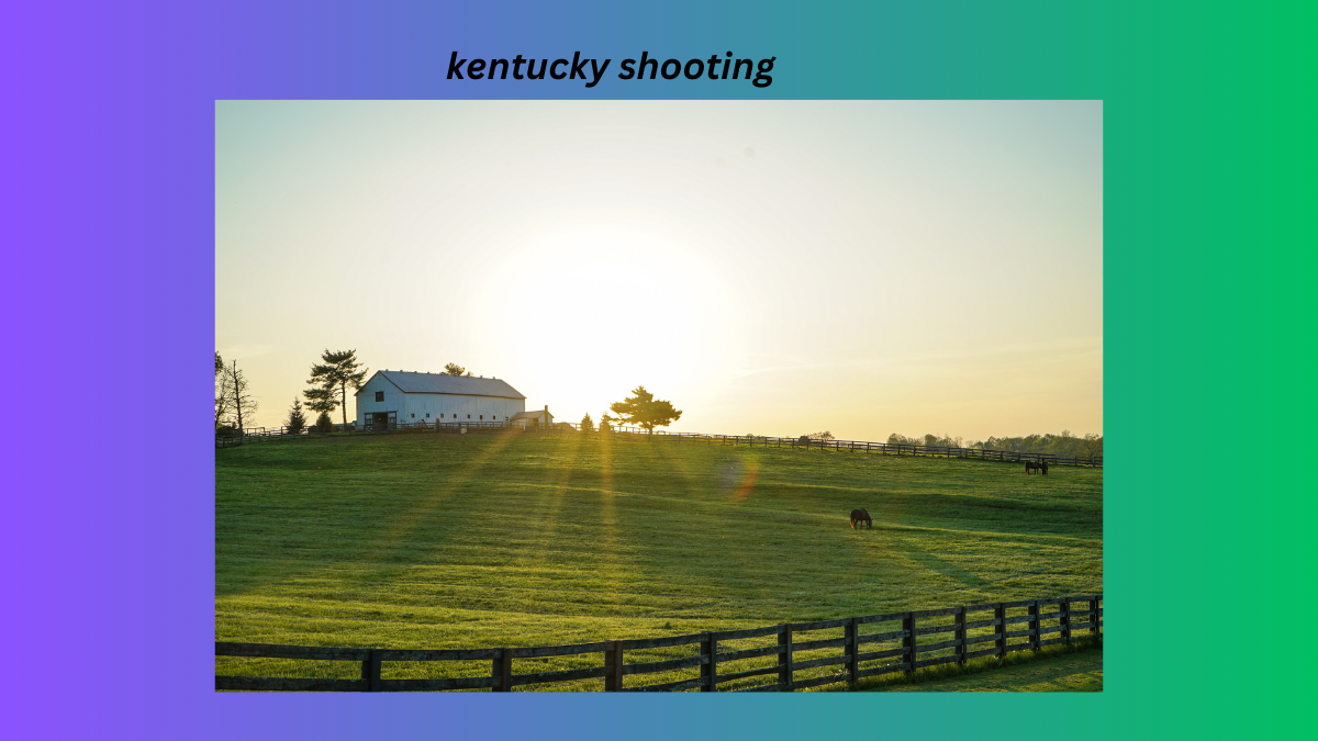 kentucky shooting