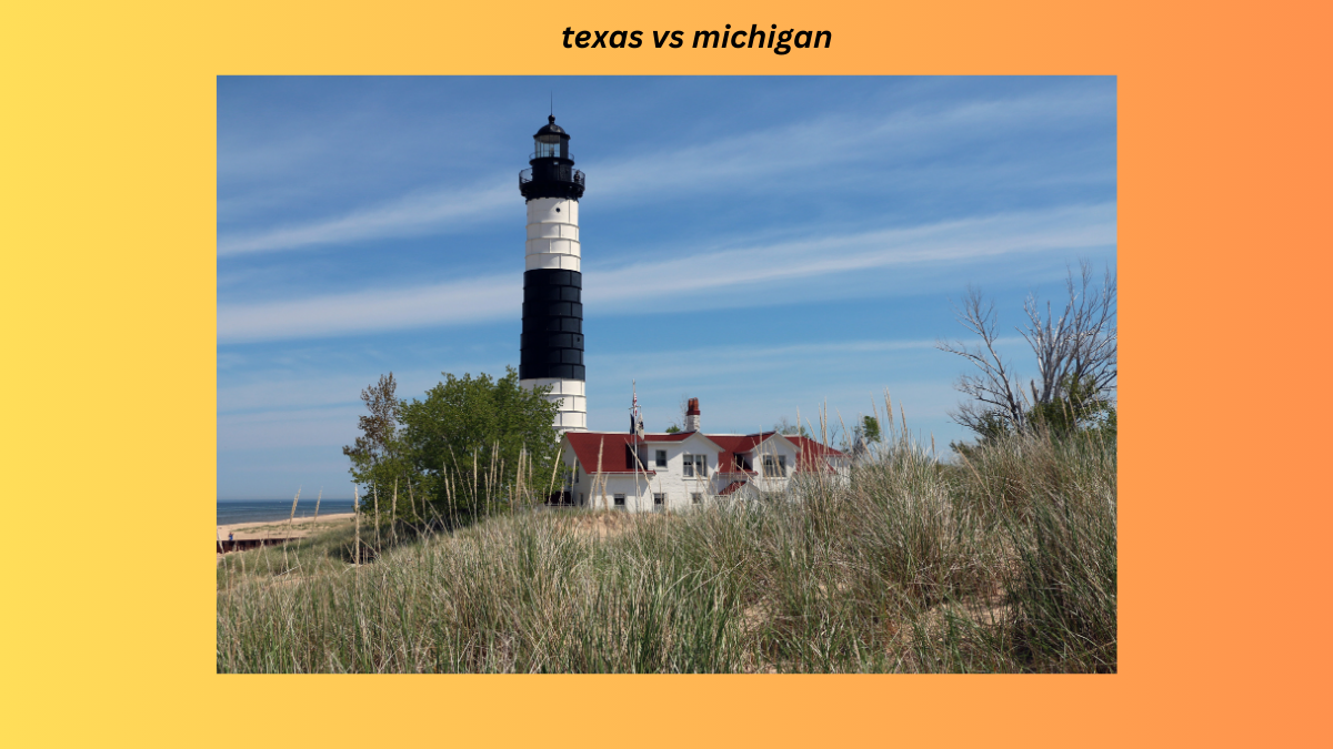 texas vs michigan